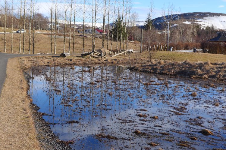 Footpath to Álafoss